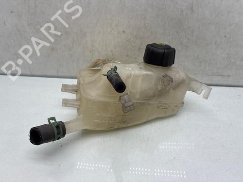 Ekpansionstank Ekpansionstank RENAULT SCÉNIC III (JZ0/1_) 1.5 dCi (JZ02, JZ0R) (95 hp) 36937760 36937760