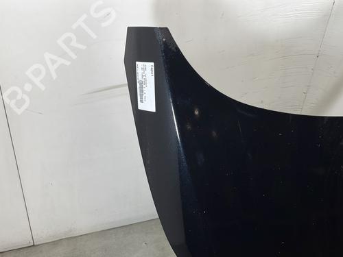 Hood FORD FIESTA VI (CB1, CCN) 1.6 TDCi | BP29453297C1 