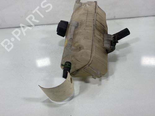 Expansion tank RENAULT KANGOO Express (FW0/1_)  | BP19995553C120 