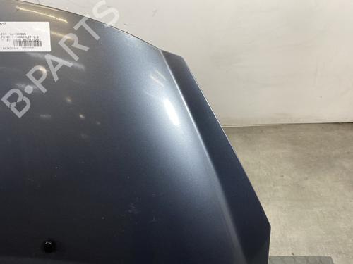 Hood PEUGEOT 207 CC (WD_) 1.6 HDi | BP26020371C1