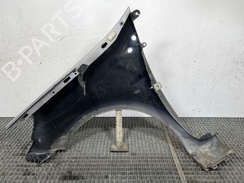Right front fenders RENAULT CLIO III (BR0/1, CR0/1) 1.5 dCi (C/BR0G, C/BR1G) | BP28280817C42 