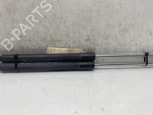 Used Tailgate lift support RENAULT CLIO III (BR0/1, CR0/1) [2005-2014]  19969750