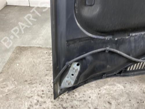 Panser FORD FOCUS C-MAX (DM2)  | BP21961172C1 