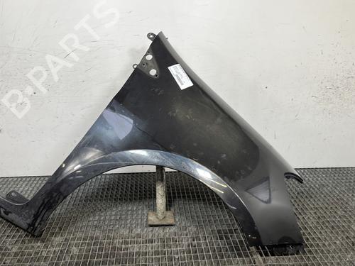 Used Right front fenders RENAULT CLIO III (BR0/1, CR0/1) 1.6 16V (BR09, BR0T, CR09, CR0T) (88 hp) 29841439