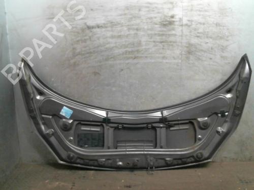 Used Hood RENAULT SCÉNIC II (JM0/1_) [2003-2010]  20016316