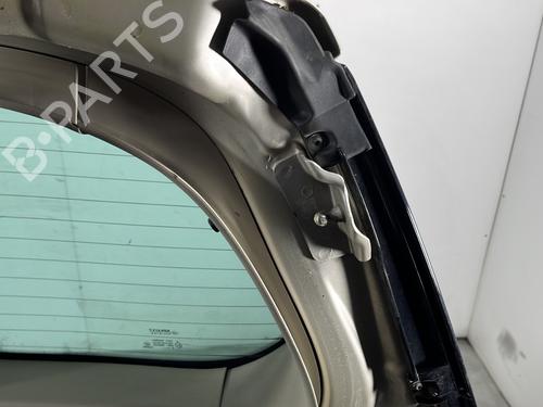 Bakluke CC/Kombi-Kupé RENAULT SCÉNIC II (JM0/1_) 1.9 dCi (JM14) | BP29968449C6