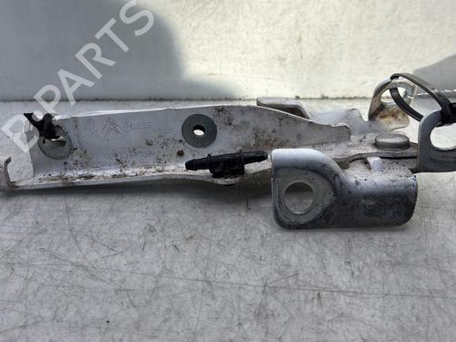 Hinge/Door check strap CITROËN C3 II (SC_) 1.2 VTi 82 | BP33648464C146 - Image 2