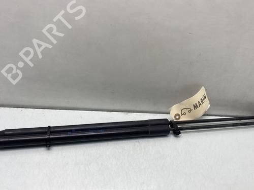 Tailgate lift support PEUGEOT 5008 (0U_, 0E_) 1.6 BlueHDi 120 | BP29897691C138