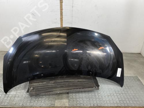 hood-renault-twingo-ii-cn0_-2007-24420439 main image