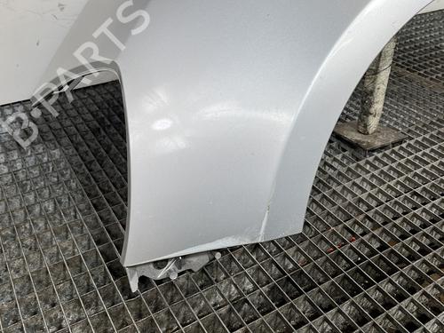 Left front fenders RENAULT CLIO III (BR0/1, CR0/1) 1.5 dCi (C/BR0G, C/BR1G) | BP29501667C41 