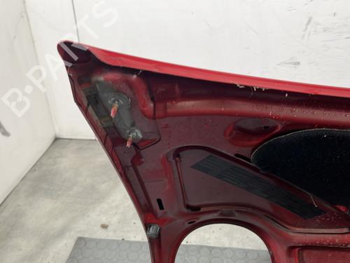 Capot RENAULT TWINGO I (C06_) 1.2 (C066, C068) | BP30674959C1