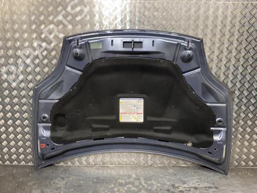 Hood FIAT BRAVO II (198_) 1.9 D Multijet (198AXE1A) | BP21955686C1 