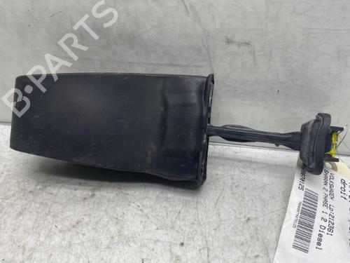 Hinge/Door check strap VW SHARAN (7N1, 7N2) 2.0 TDI | BP19952796C146 