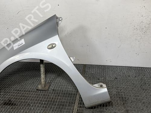 Left front fenders PEUGEOT 307 (3A/C) 1.6 HDi | BP28187213C41 