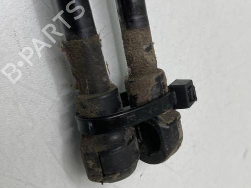 Tailgate lift support RENAULT MEGANE IV Grandtour (K9A/M/N_) 1.5 dCi 110 | BP29841575C138
