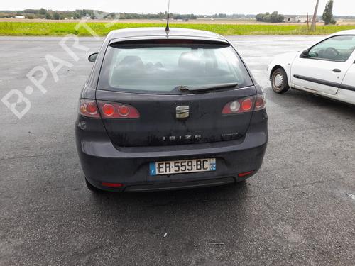 Right front door SEAT IBIZA III (6L1) 1.4 TDI | BP31880996C3 