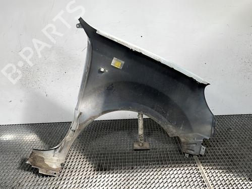 Left front fenders RENAULT KANGOO (KC0/1_) 1.5 dCi (KC07) | BP29141850C41 