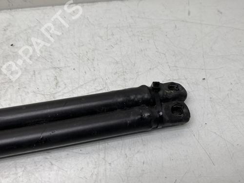 Tailgate lift support LANCIA DELTA III (844_) 1.6 D Multijet (844.AXF11, 844.AXF1A) | BP20007609C138 