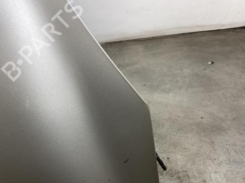 Hood RENAULT SCÉNIC III (JZ0/1_) 1.9 dCi (JZ0J, JZ1J, JZ1K, JZ1S) | BP21959620C1