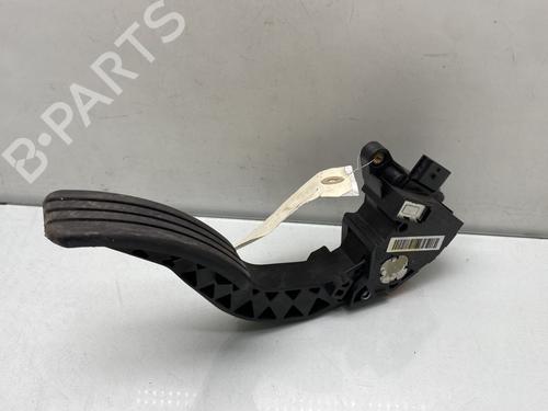 Used Pedal RENAULT SCÉNIC III (JZ0/1_) 1.5 dCi (110 hp) 30510013