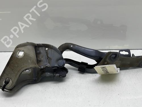 Used Hinge/Door check strap RENAULT CLIO III (BR0/1, CR0/1) 1.5 dCi (75 hp) 24428208