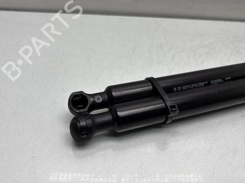 Tailgate lift support CITROËN BERLINGO Box Body/MPV (B9) 1.6 BlueHDi 100 | BP29528387C138 