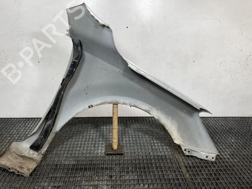 Left front fenders KIA CEE'D Hatchback (ED) 1.6 CRDi 90 | BP21963583C41 