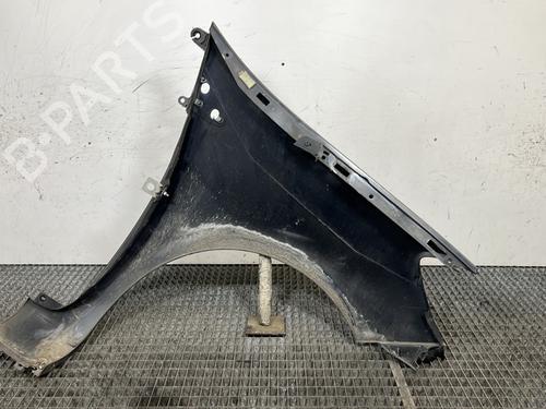 Left front fenders RENAULT CLIO III (BR0/1, CR0/1) 1.5 dCi (C/BR0G, C/BR1G) | BP30148370C41 