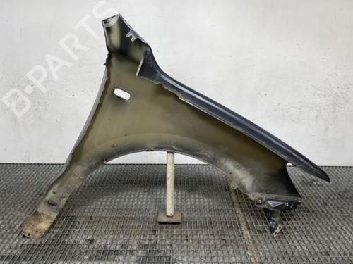 Right front fenders HYUNDAI SANTA FÉ II (CM) 2.2 CRDi | BP19960525C42