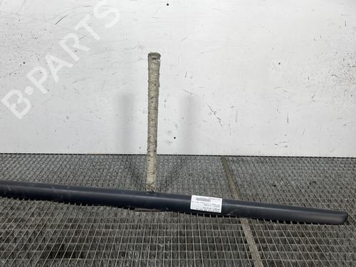Used Door moulding trim PEUGEOT 207 (WA_, WC_) 1.6 HDi (90 hp) 29841785