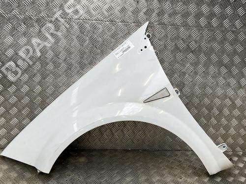 Used Left front fenders RENAULT MEGANE II Saloon (LM0/1_) [2003-2025]  20025851