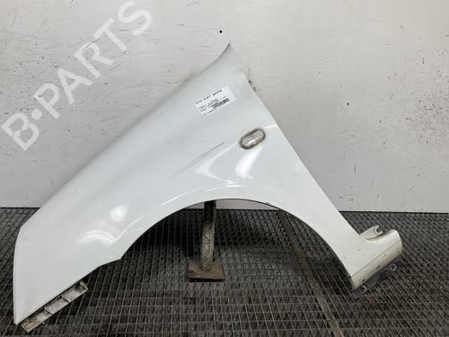 Used Left front fenders RENAULT CLIO II (BB_, CB_) 1.5 dCi (B/C2J) (68 hp) 30168996