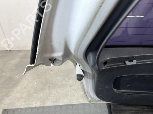 Tailgate RENAULT CLIO III (BR0/1, CR0/1) 1.5 dCi (C/BR0G, C/BR1G) | BP29995775C6 