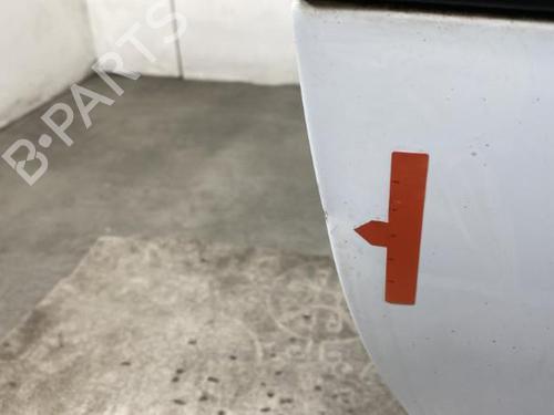 Right front door RENAULT CLIO III (BR0/1, CR0/1) 1.5 dCi (C/BR0G, C/BR1G) | BP21960549C3 