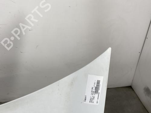 Hood RENAULT KANGOO / GRAND KANGOO II (KW0/1_) 1.5 dCi 90 (KW05, KW08, KW0G, KW11) | BP26455664C1 