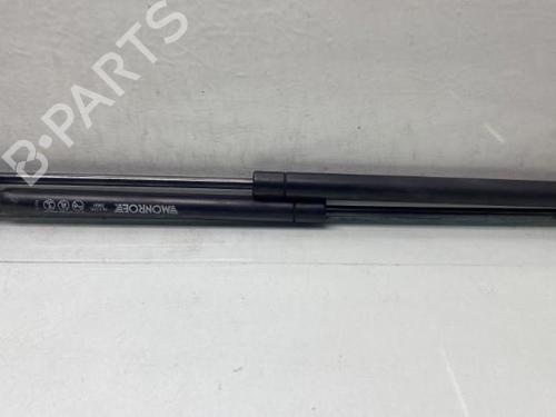 Tailgate lift support RENAULT CLIO III (BR0/1, CR0/1)  | BP19969025C138 