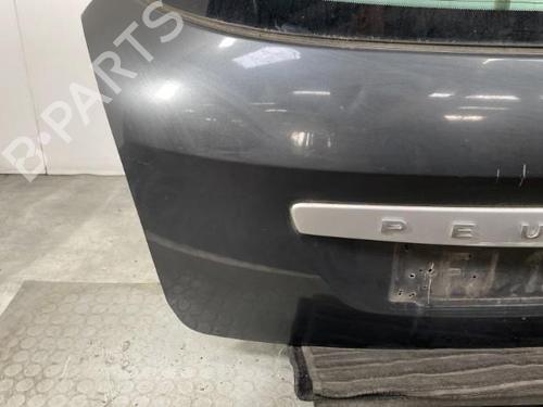 Tailgate PEUGEOT 308 SW I (4E_, 4H_) 1.6 HDi | BP21962958C6 