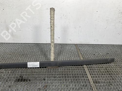 Door moulding trim RENAULT TWINGO II (CN0_) 1.2 16V (CN04, CN0B) 8200365843