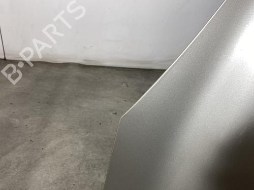 Hood RENAULT SCÉNIC III (JZ0/1_) 1.9 dCi (JZ0J, JZ1J, JZ1K, JZ1S) | BP21959620C1