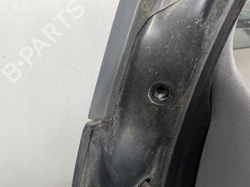 Tailgate CHRYSLER VOYAGER / GRAND VOYAGER III (GS_, NS_)  | BP19954920C6 