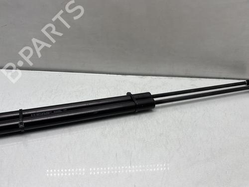 Tailgate lift support CITROËN BERLINGO Box Body/MPV (B9) 1.6 BlueHDi 100 | BP29528387C138 