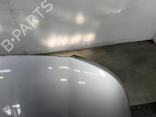 Hood CITROËN C3 Picasso (SH_) 1.4 VTi 95 (SH8FSC, SH8FP0, SH8FP6) | BP26708743C1 