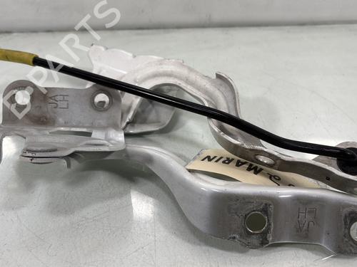 Hinge/Door check strap KIA PICANTO III (JA) 1.0 | BP29841612C146