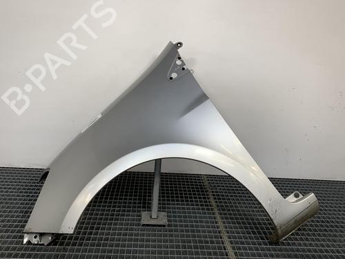 Left front fenders RENAULT CLIO III (BR0/1, CR0/1) 1.5 dCi (BR17, CR17) | BP28500198C41