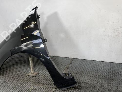 Used Left front fenders RENAULT KANGOO / GRAND KANGOO II (KW0/1_) 1.5 dCi 85 (KW0K, KW0L, KW0B) (86 hp) 23768407