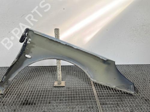 Left front fenders PEUGEOT 407 (6D_) 1.6 HDi 110 (6D9HZC, 6D9HYC) | BP29269627C41 