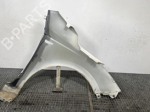 Left front fenders HYUNDAI i20 I (PB, PBT) 1.1 CRDi | BP27252037C41 