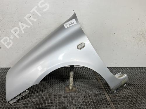 Used Left front fenders RENAULT CLIO II (BB_, CB_) 1.5 dCi (B/CB07) (65 hp) 30169007