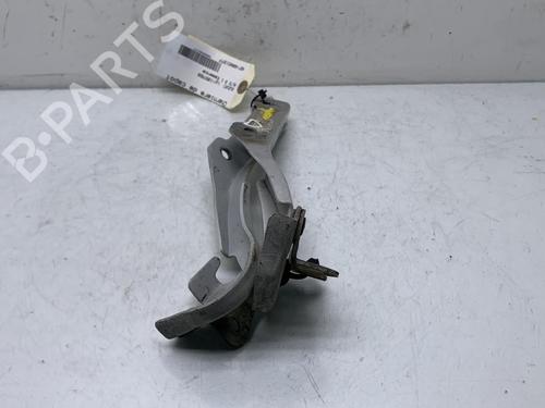 Hinge/Door check strap SUZUKI ALTO VII (GF, HA25_, HA35_)  | BP19995241C146 
