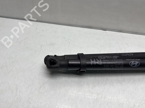 tailgate-lift-support-hyundai-i20-i-pb-pbt-2008-2009-2010-2011-2012-2013-2014-2015-30490344 main image